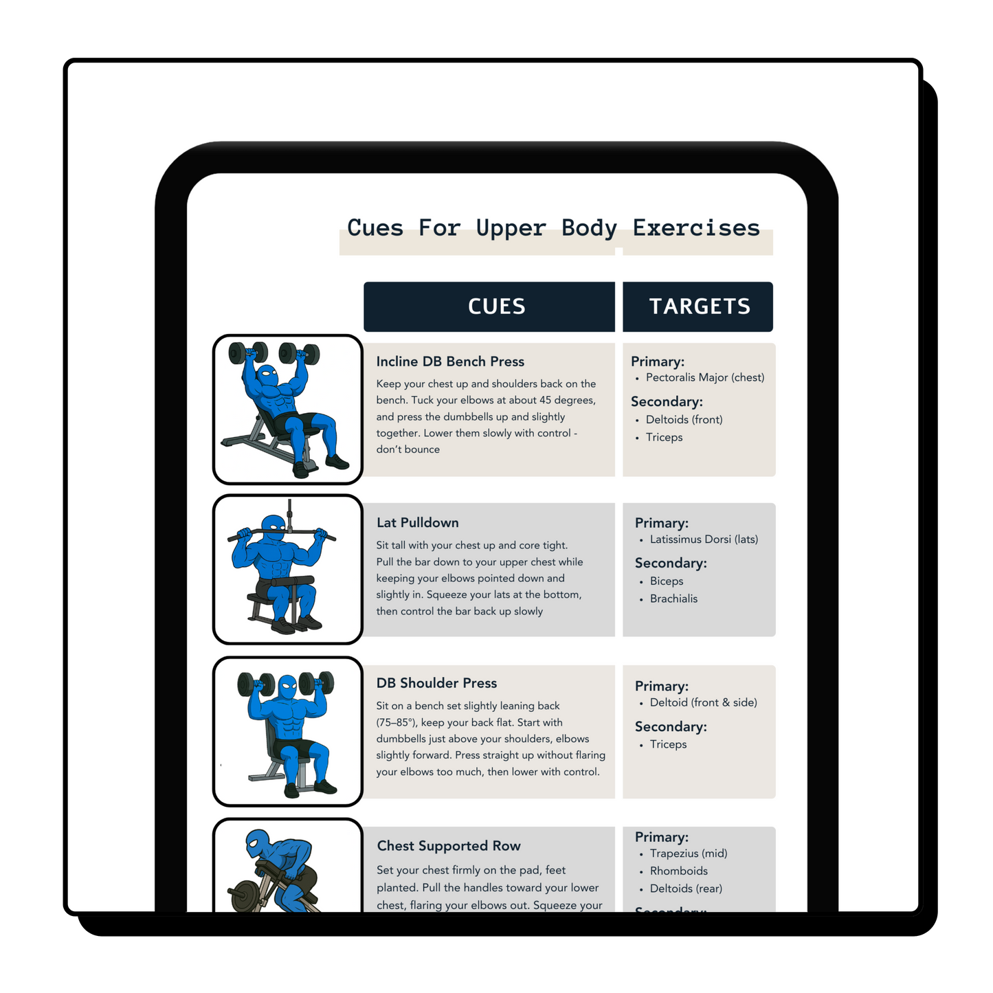 The Essential Training Program
