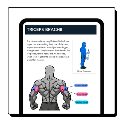 The Hypertrophy Blueprint - eBook
